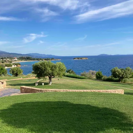 Modern * Никити